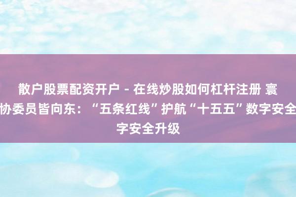 散户股票配资开户 - 在线炒股如何杠杆注册 寰球政协委员皆向东：“五条红线”护航“十五五”数字安全升级