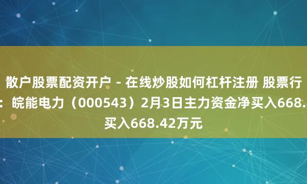 散户股票配资开户 - 在线炒股如何杠杆注册 股票行情快报：皖能电力（000543）2月3日主力资金净买入668.42万元